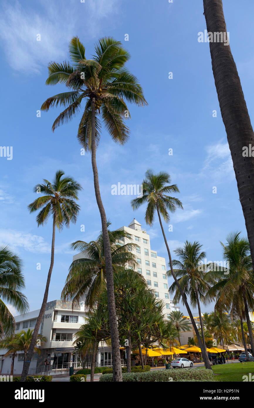 South Beach, Miami, Florida Stock Photo Alamy