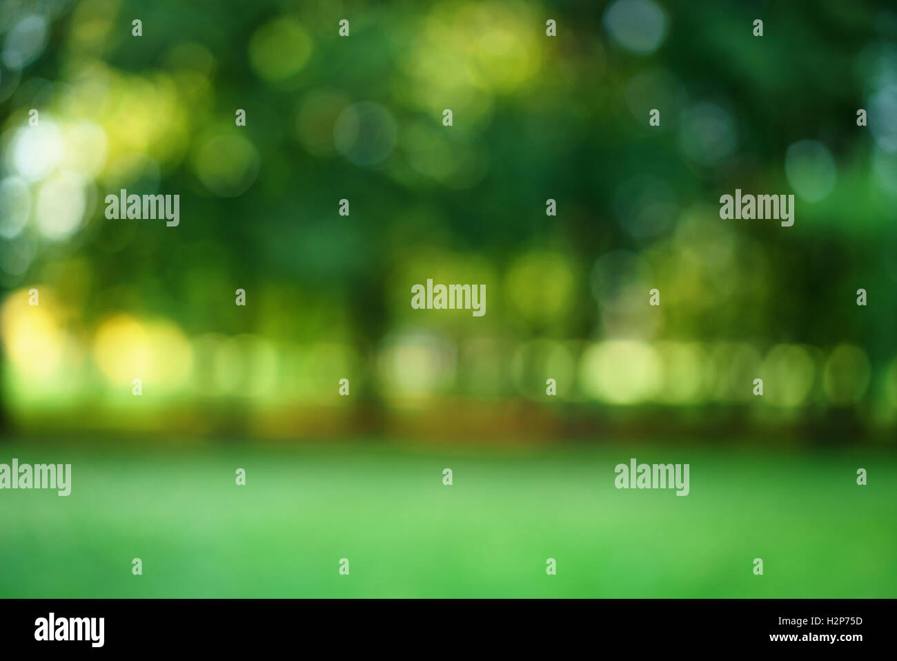 park summer blur bokeh background Stock Photo - Alamy