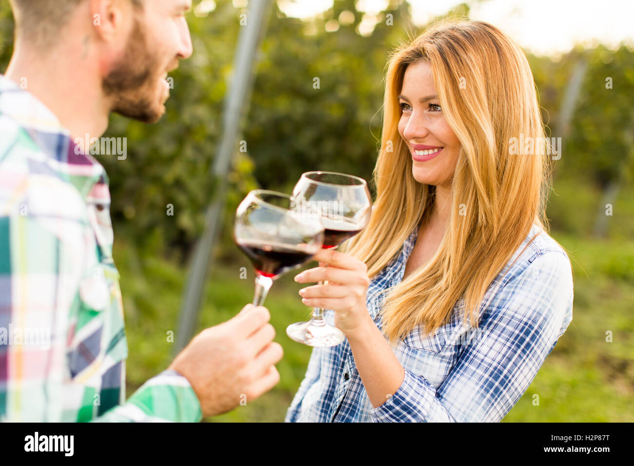 Young happy couple holding glasses of wine in the grape fields Stock Photo