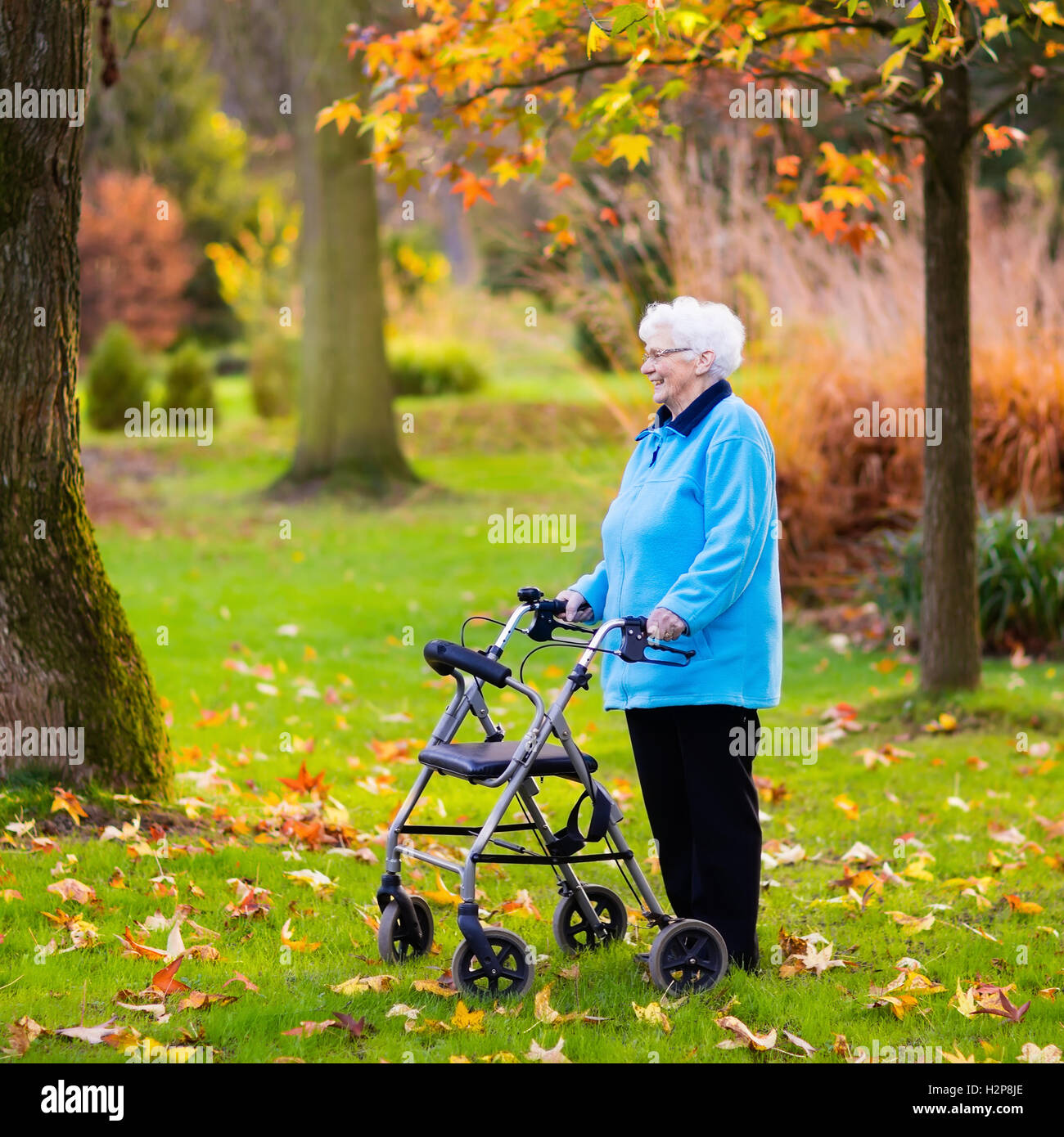 Old lady rollator hi-res stock photography and images - Alamy