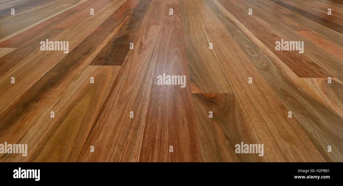 Spotted Gum Flooring Stock Photo - Alamy