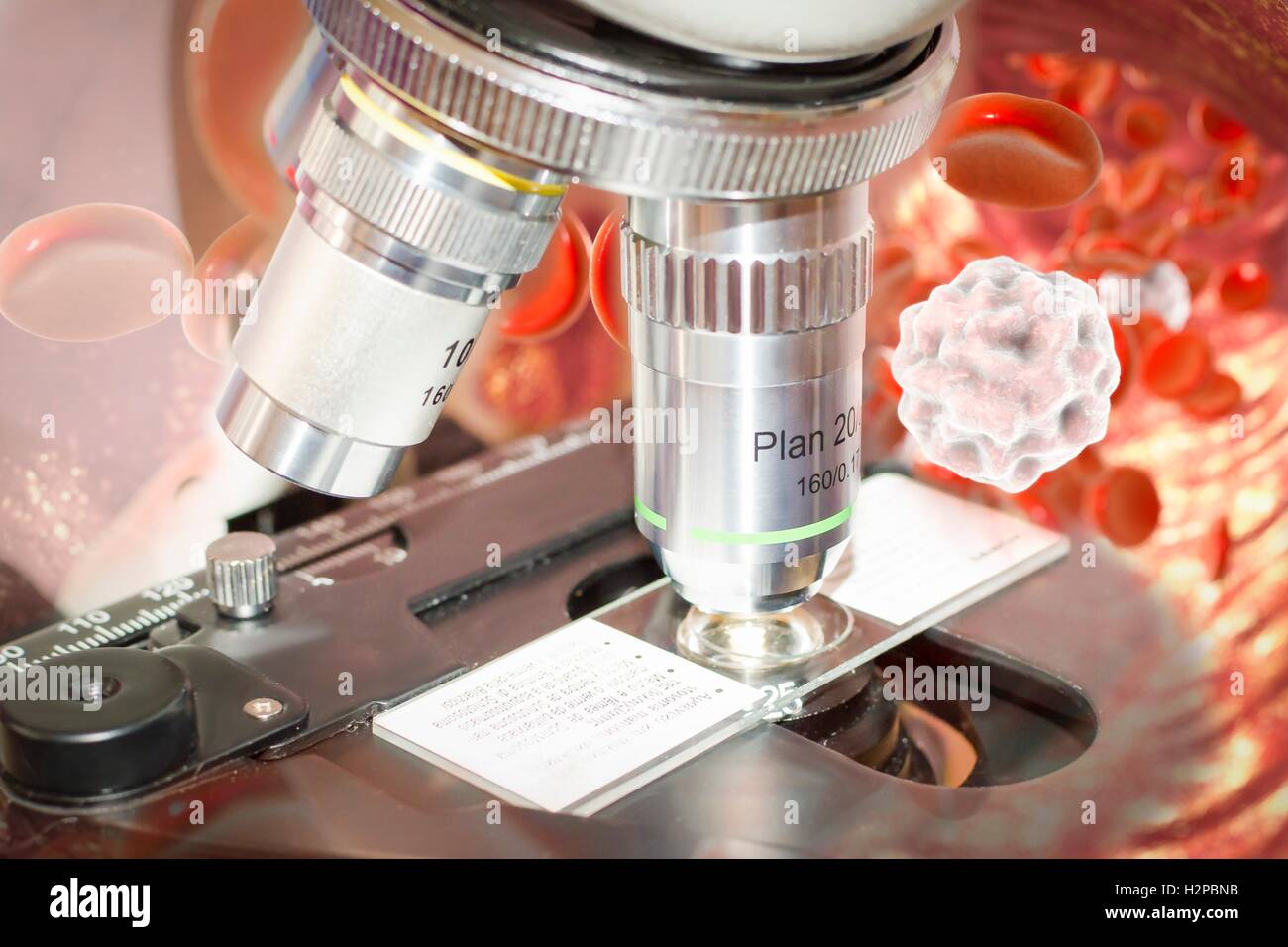 Microscope and blood cells, computer illustration. Stock Photo