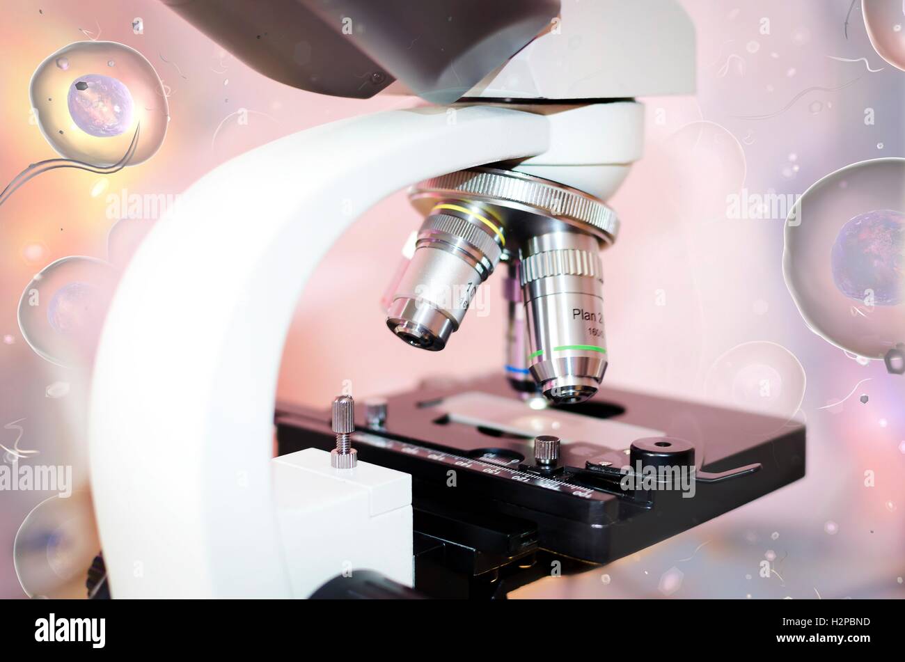 Microscope and human cells, computer illustration. Stock Photo