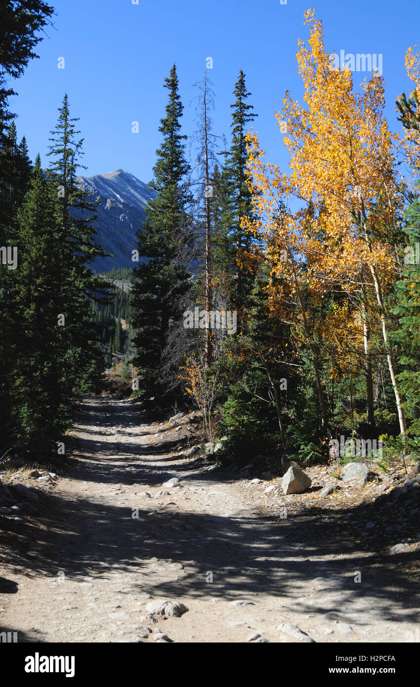 Colorado hiking trail near Mt Antero in Chaffee County Colorado.  Also known as the Baldwin Gulch Road, four wheel drive only Stock Photo