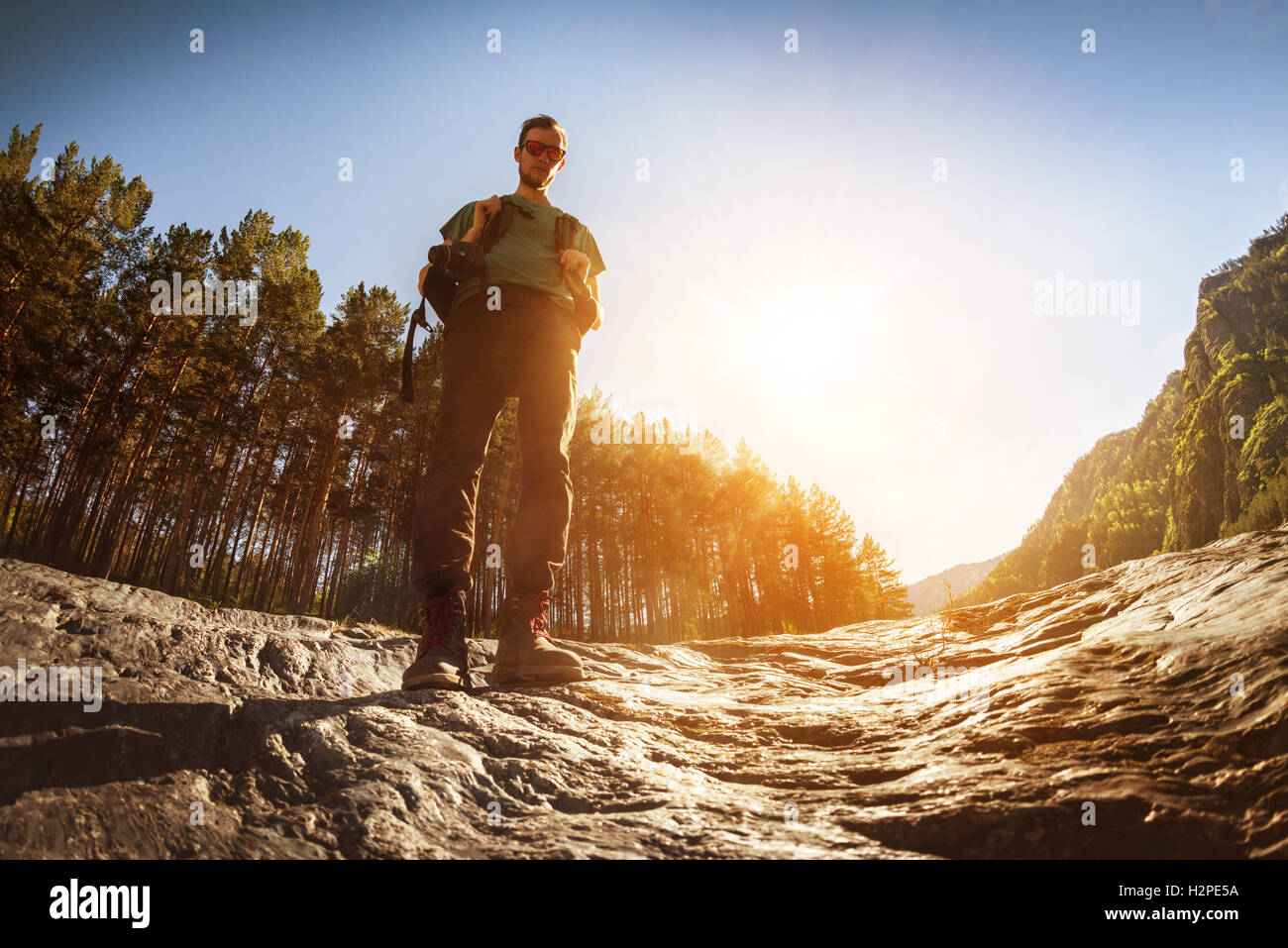 Backpacker stands on fir tree forest backdrop Stock Photo
