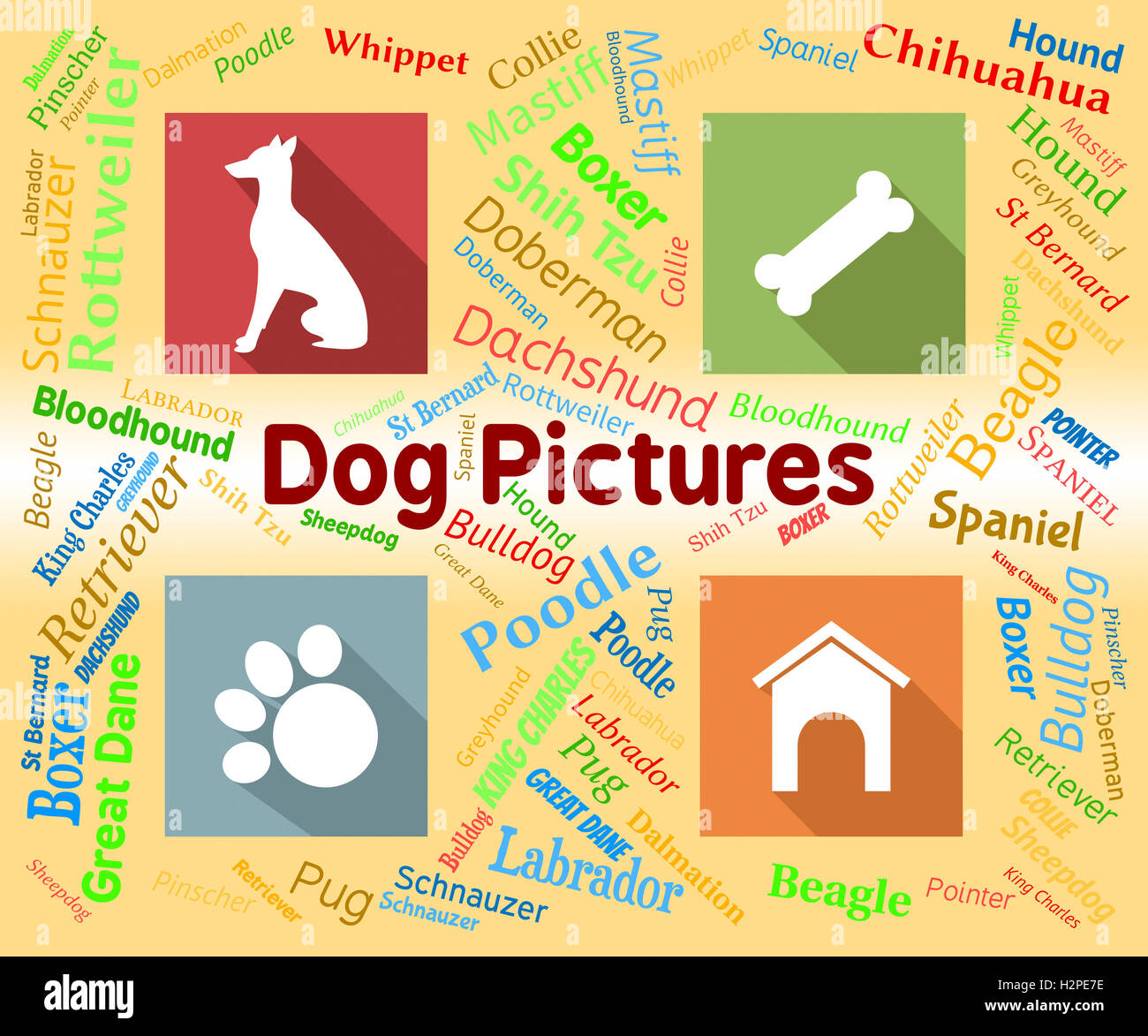 Dog Pictures Indicating Words Pets And Photo Stock Photo Alamy