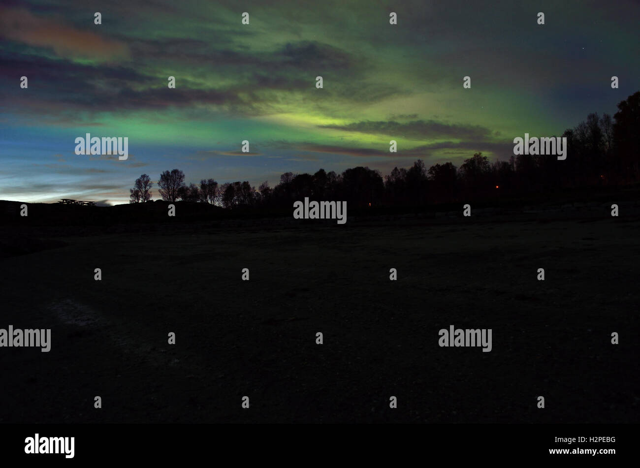 beautiful aurora borealis dancing over dark autumn forest Stock Photo ...