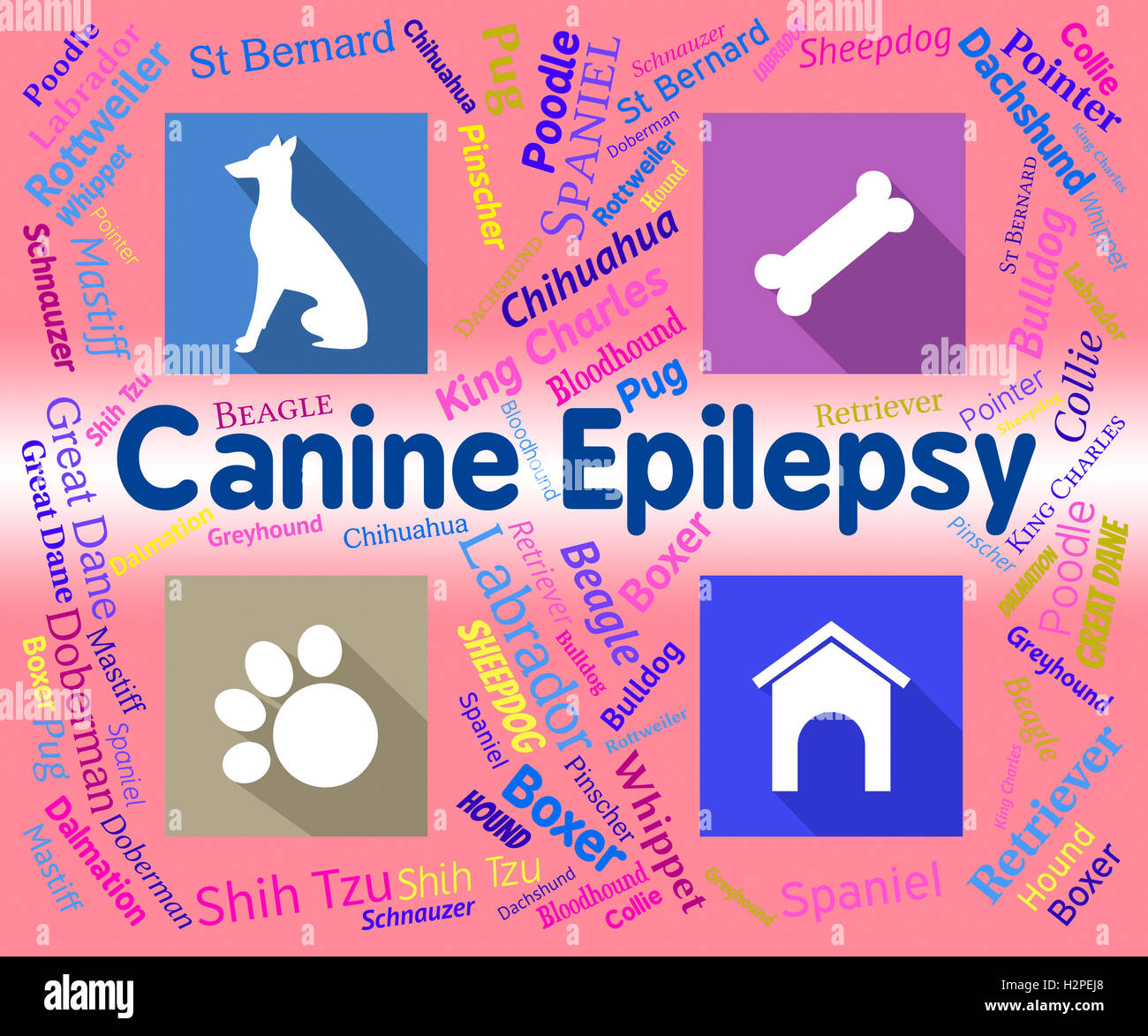 Canine Epilepsy Showing Pet Puppies And Fits Stock Photo - Alamy - Canine Epilepsy Food Allergies Symptoms