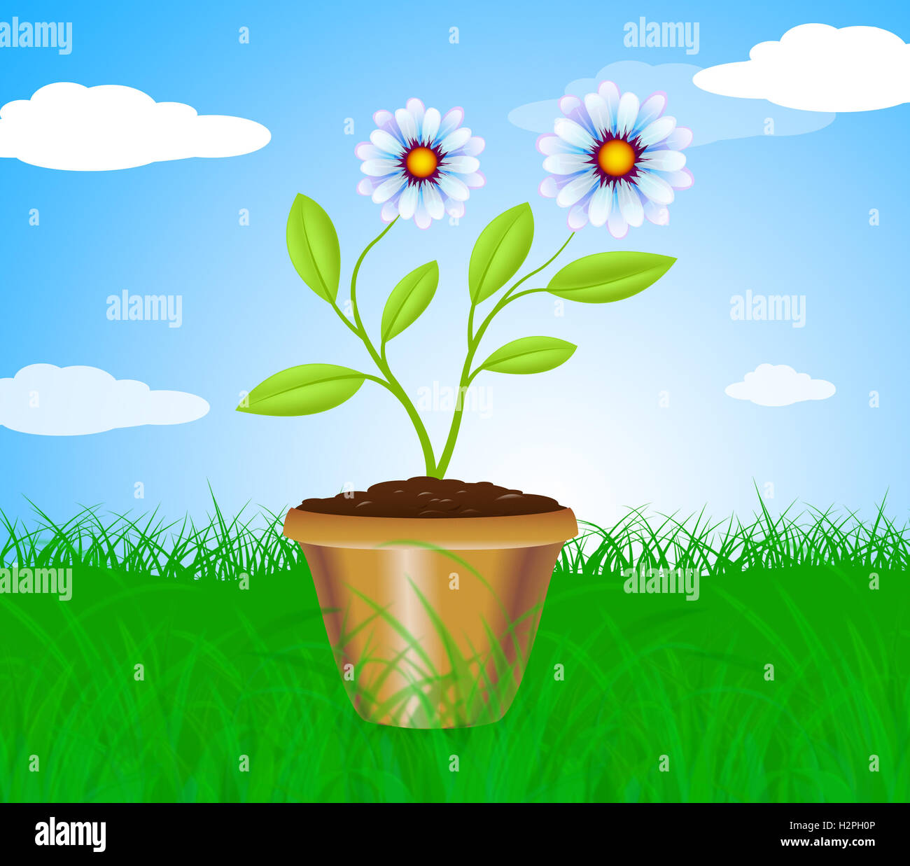 Potted Plant Meaning Cultivation Gardening And Plants Stock Photo Alamy