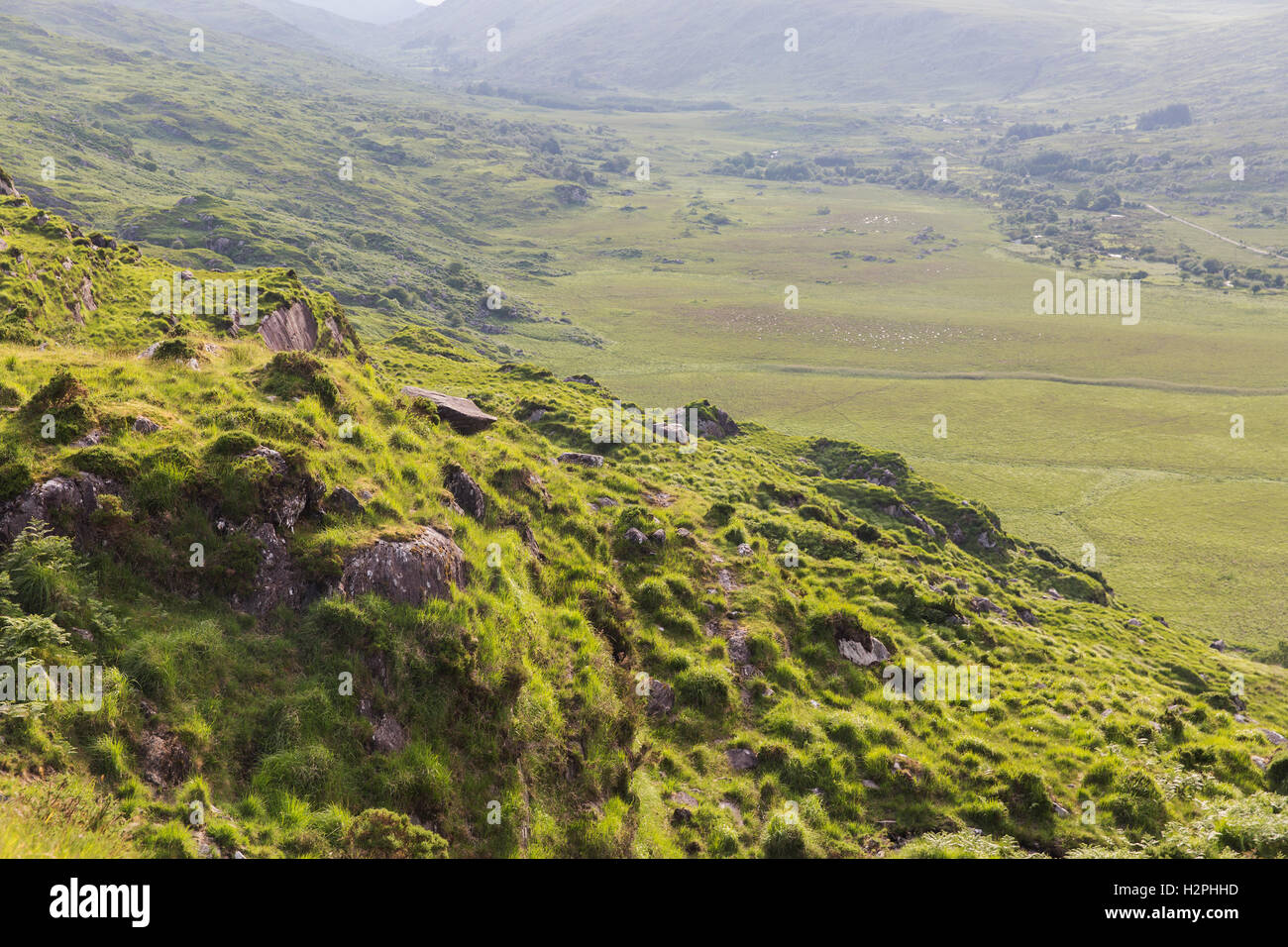 view to Killarney National Park valley in ireland Stock Photo Alamy