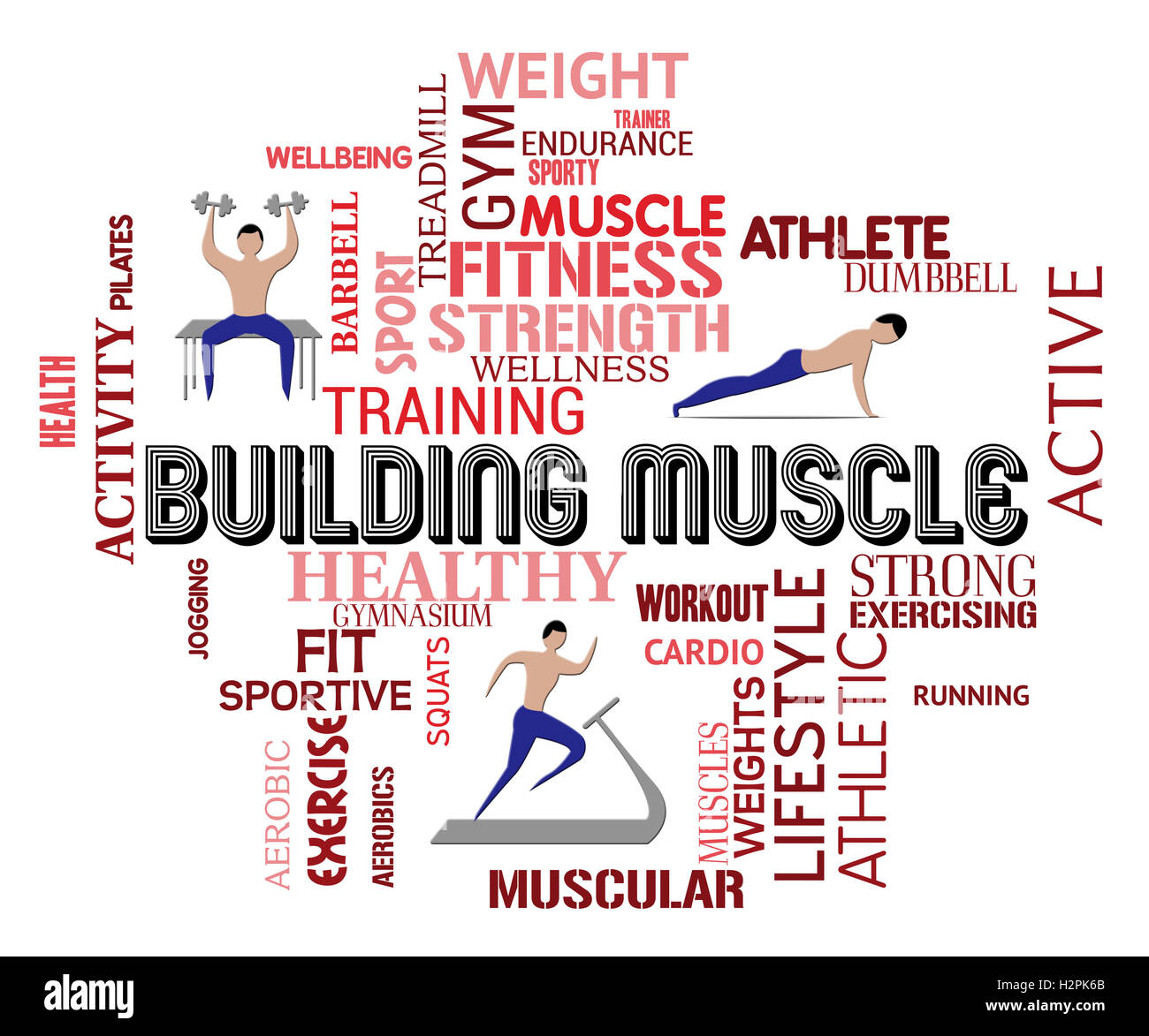 Building muscle hi-res stock photography and images - Alamy