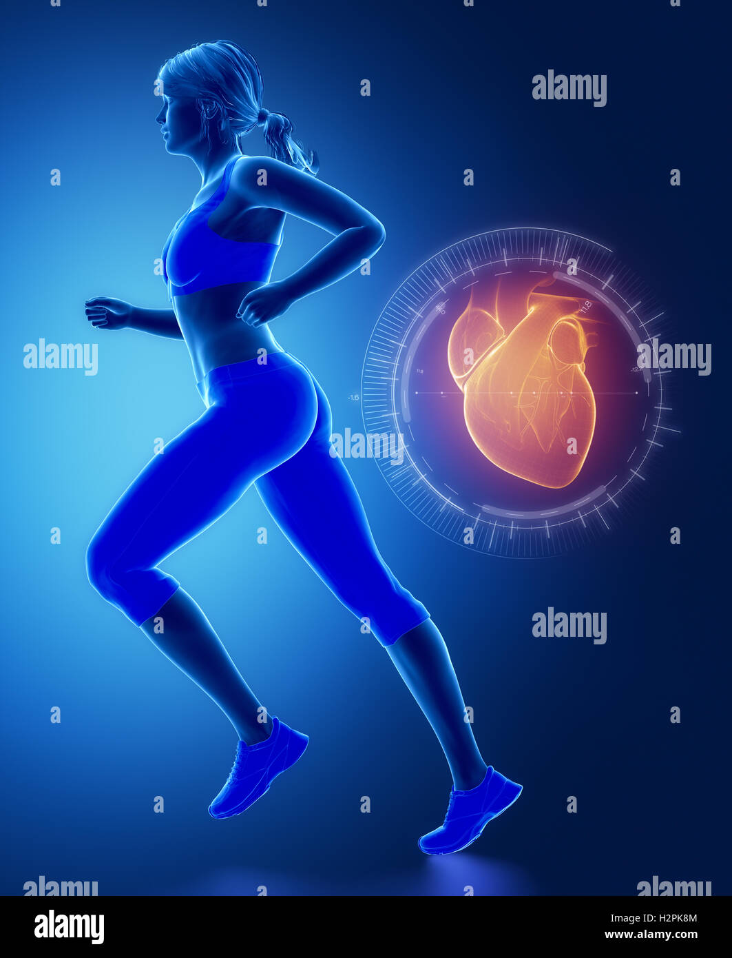 Jogging woman with heart interface Stock Photo Alamy