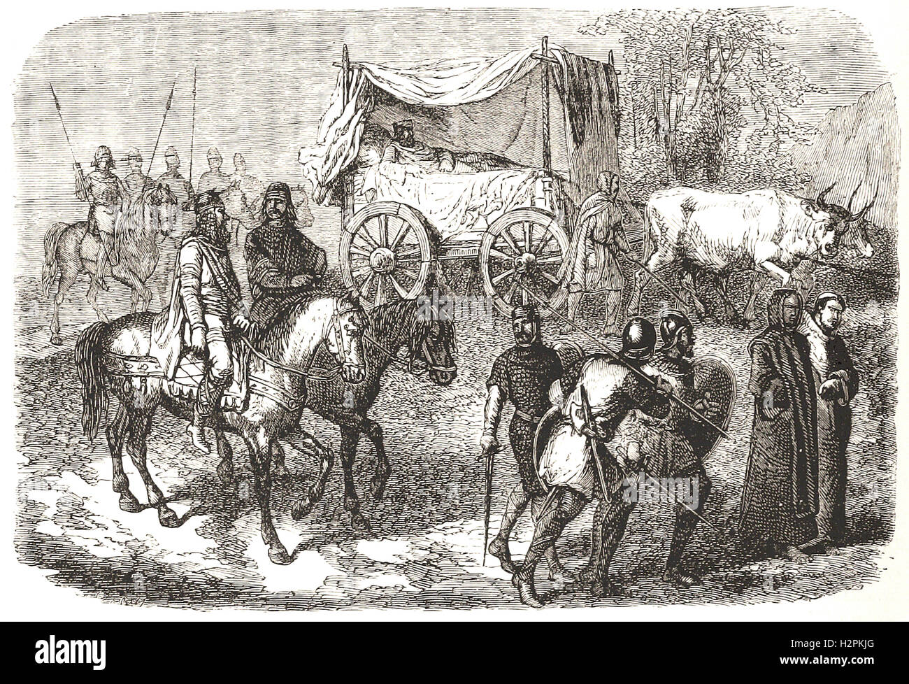 Sluggard High Resolution Stock Photography And Images Alamy