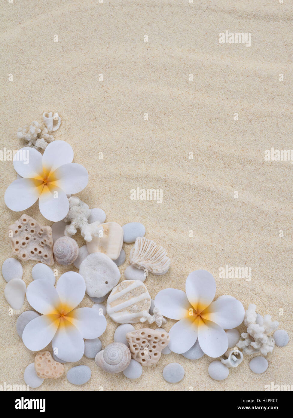 Tiare flowers,corals,snails and stones on the sand Stock Photo