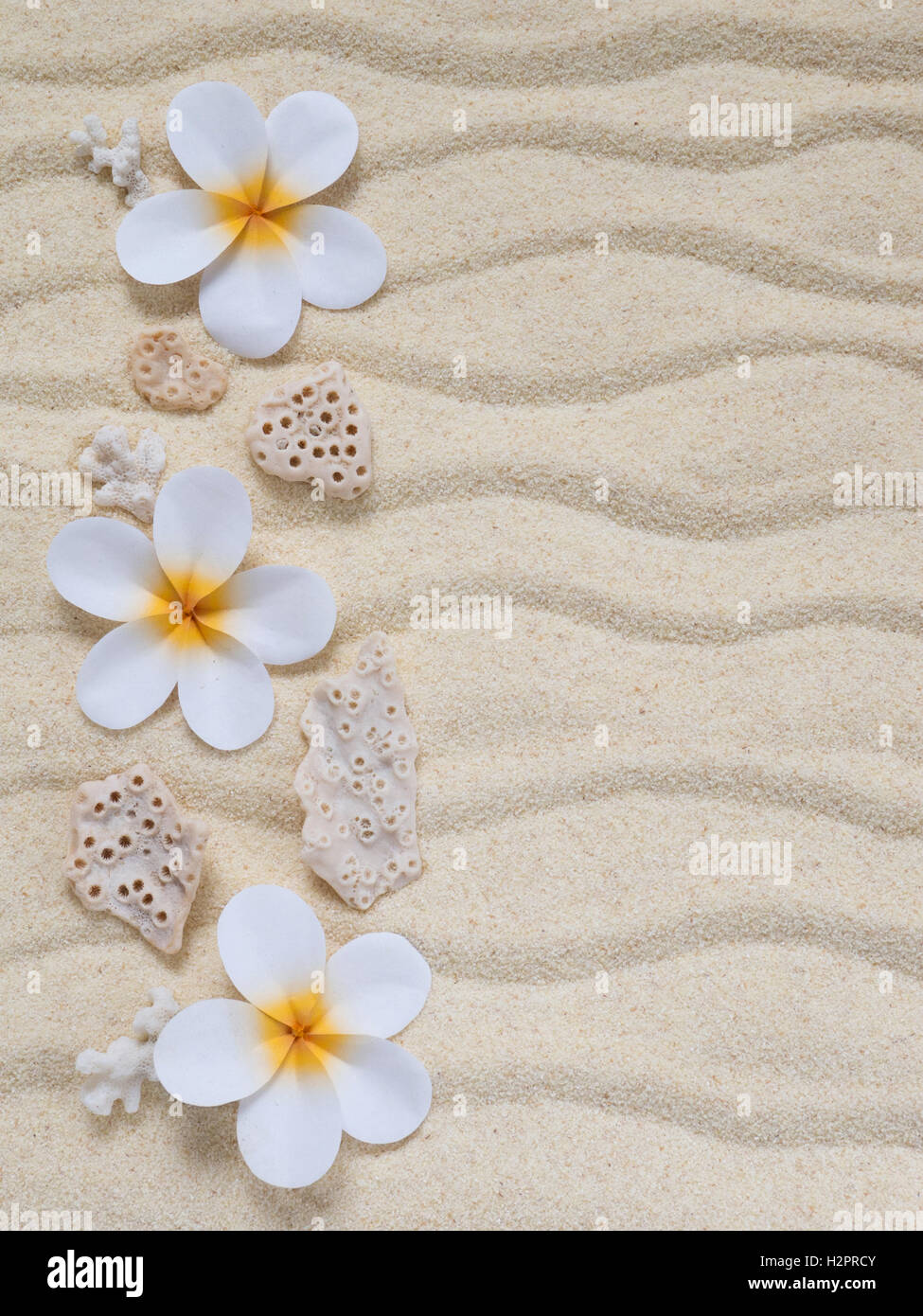 Tiare flowers and corals on the sand Stock Photo
