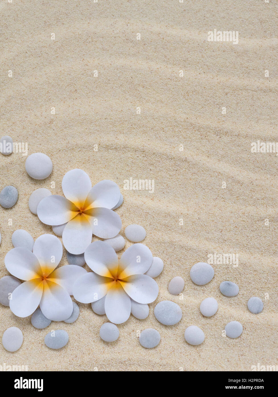 Tiare flowers and stones on the sand Stock Photo