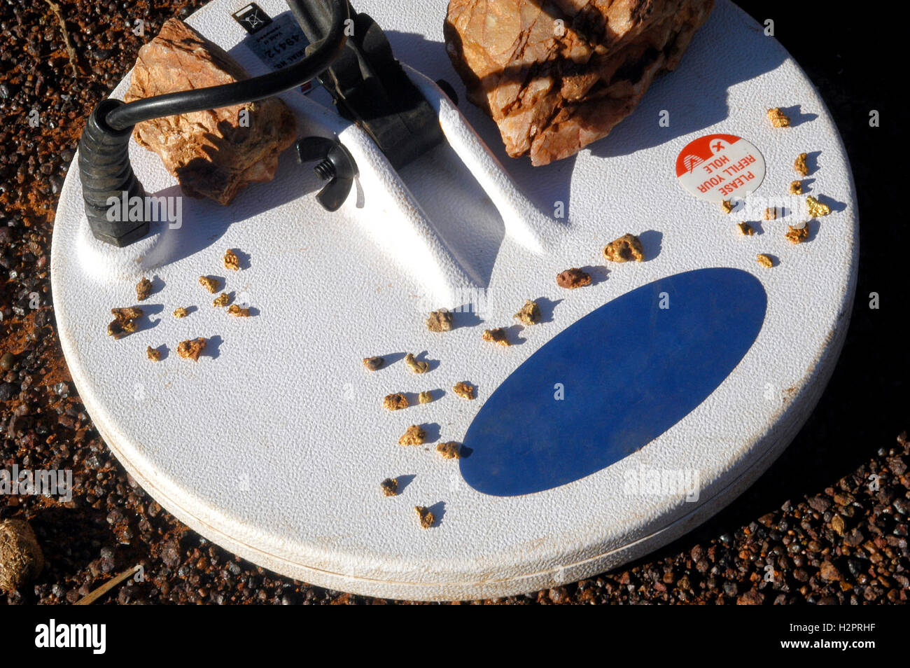 Head of an Australian metal detector with gold nuggets and quartz