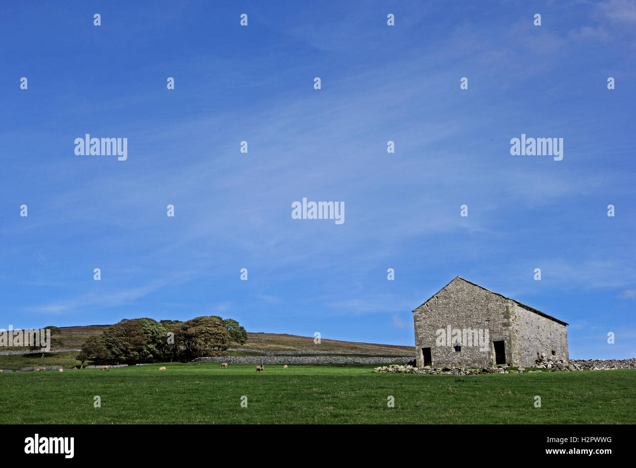 Typical Dales stone barn on upland above Malham, Yorkshire, UK Stock Photo