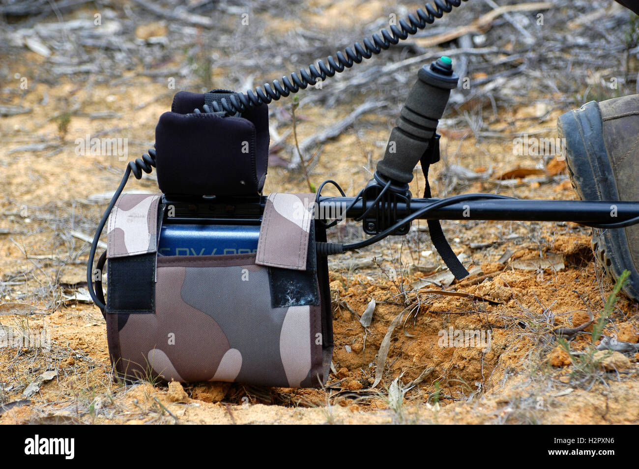 Metal detector used to search for gold nuggets in Australia Stock Photo -  Alamy