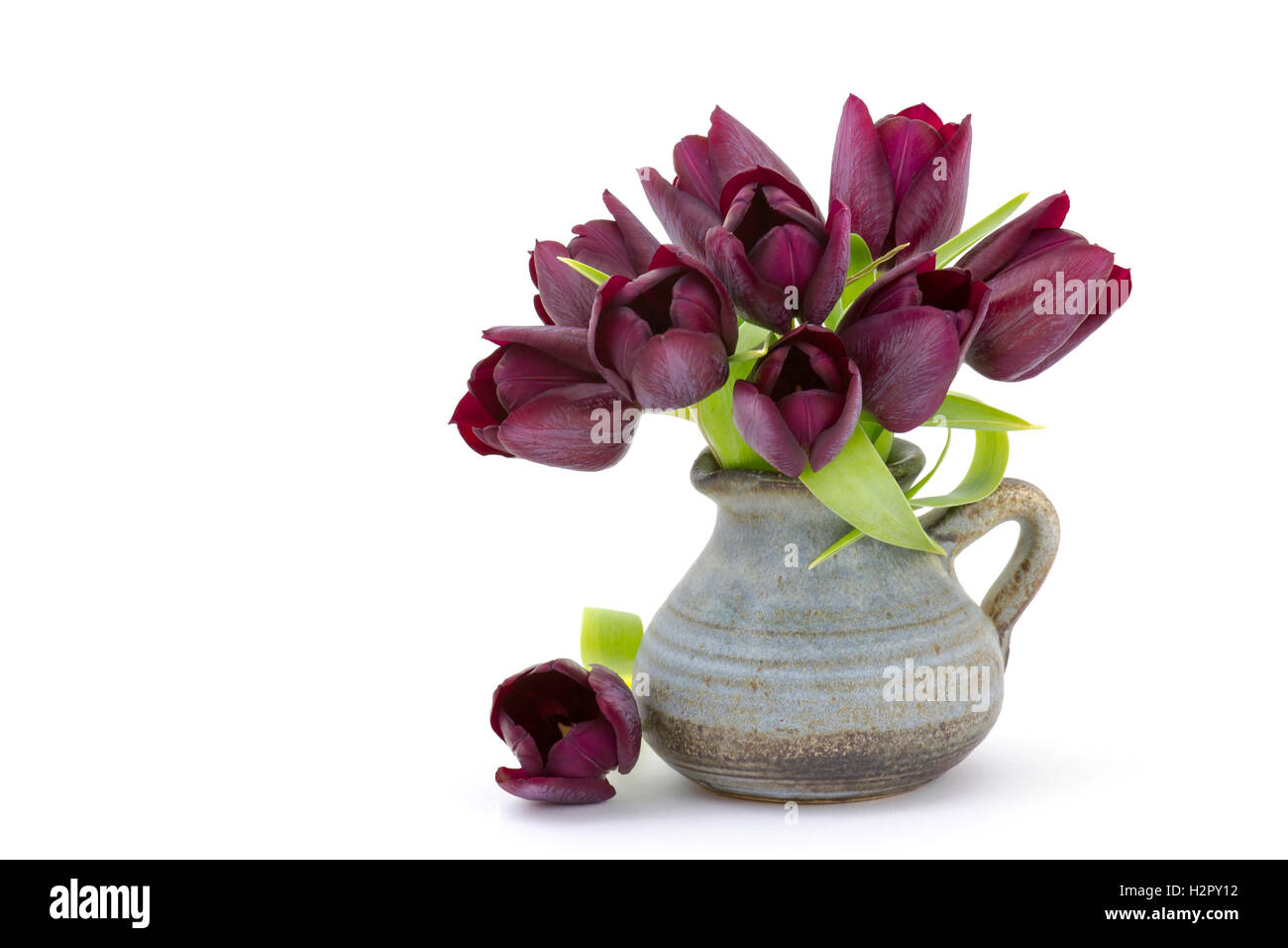 Large Tulip Vase in Dark Purple