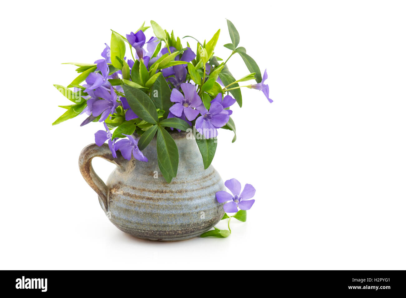 Beautiful spring flowers in a vase on white background Stock Photo - Alamy
