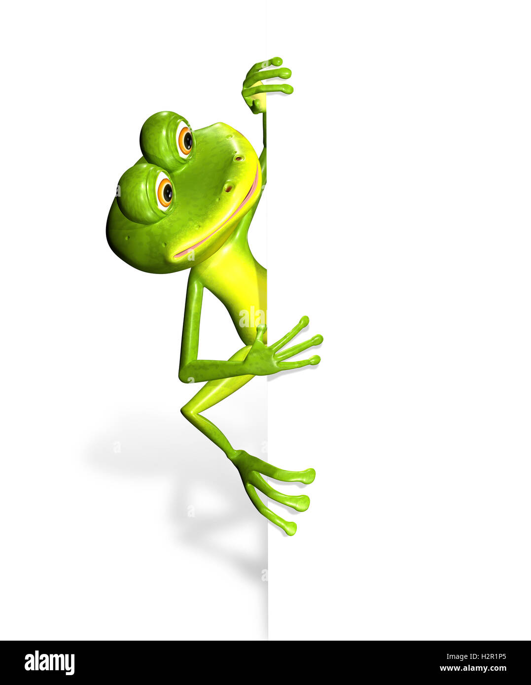 Frog and white background Stock Photo - Alamy