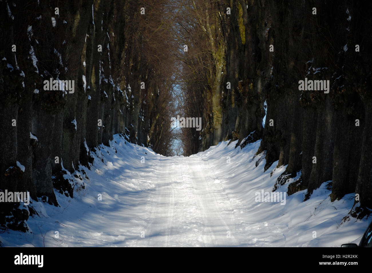 Pathway at winter Stock Photo - Alamy