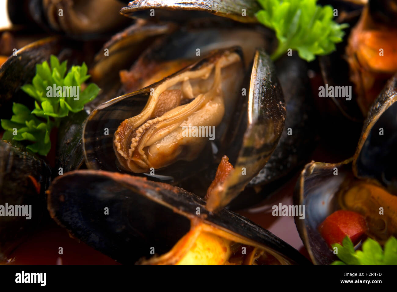 Clams in tomato sauce Stock Photo Alamy