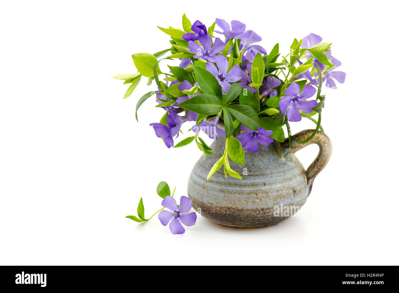Beautiful spring flowers in a vase on white background Stock Photo - Alamy