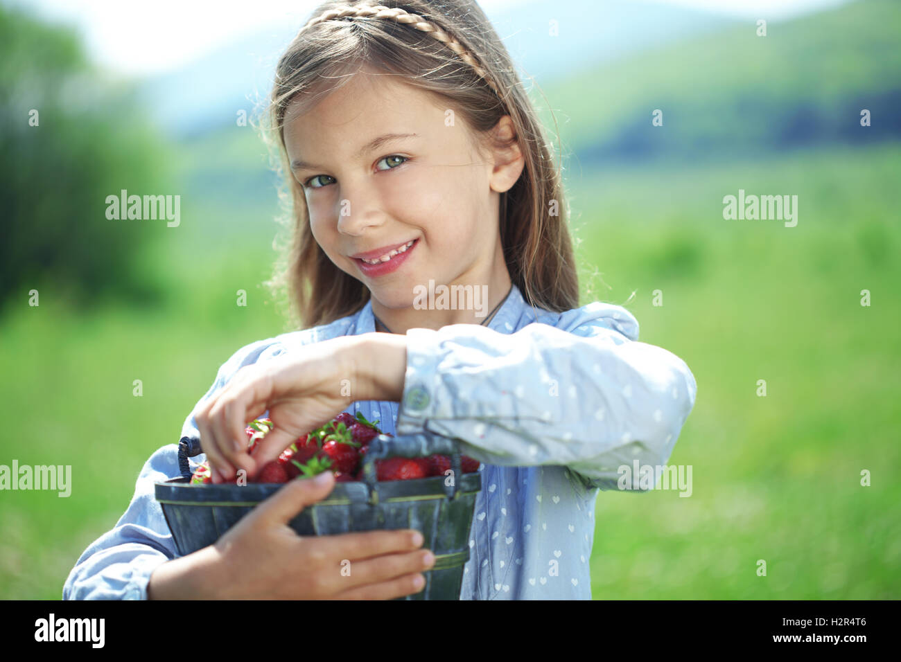 Child eating strawberries in a field Stock Photo Alamy