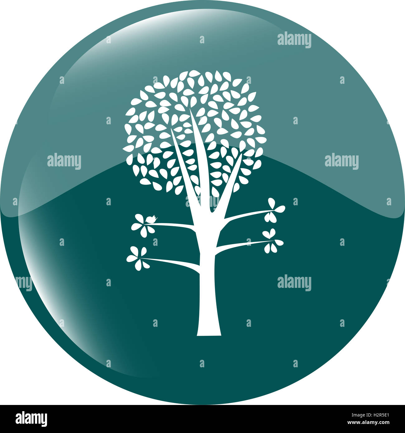 tree on icon button isolated on white Stock Photo - Alamy