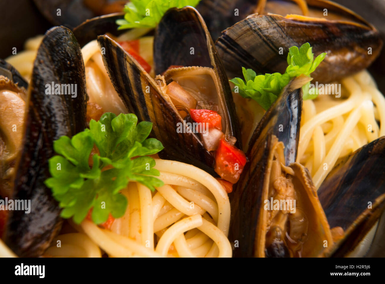 Clams in tomato sauce Stock Photo Alamy