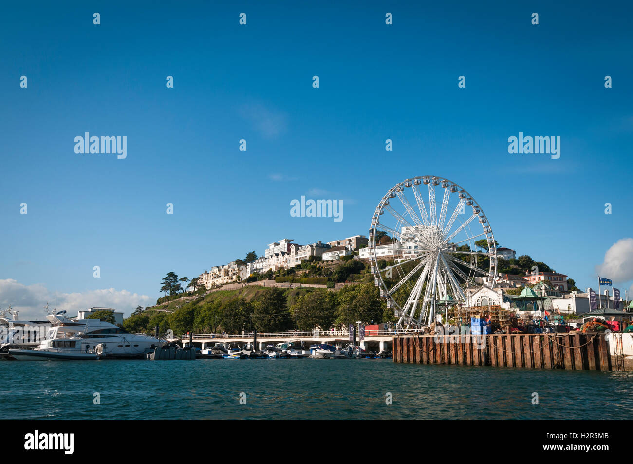 The Torquay Wheel from the harbour Stock Photo Alamy