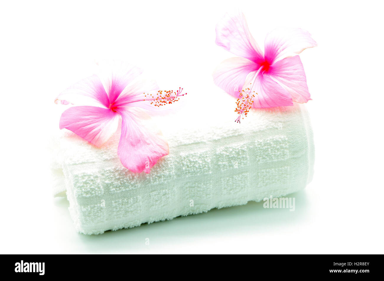 Pink hibiscus hawaii hi-res stock photography and images - Alamy