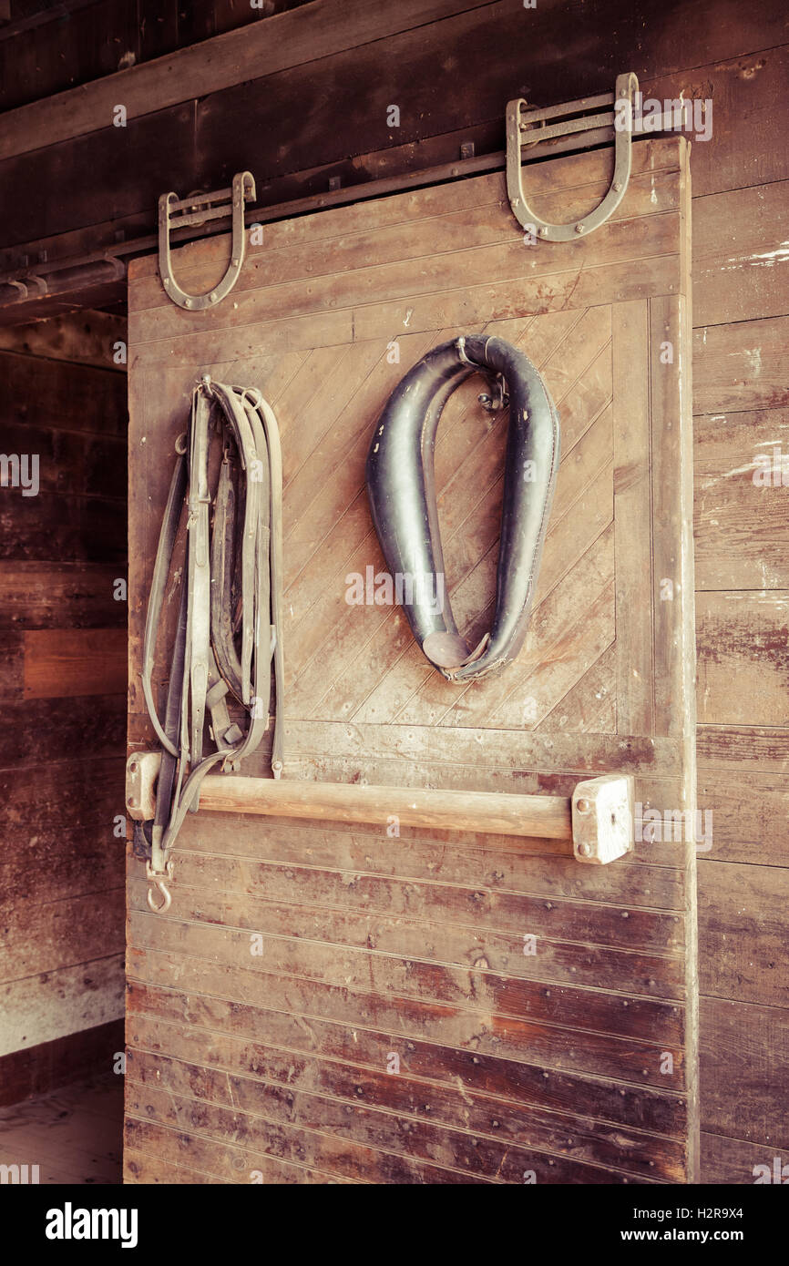 Various horse tack items hang in a stable Stock Photo Alamy