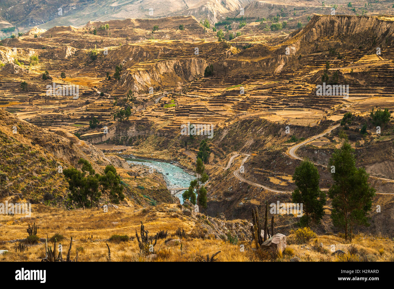 Colca canyon agriculture terraces hi-res stock photography and images ...