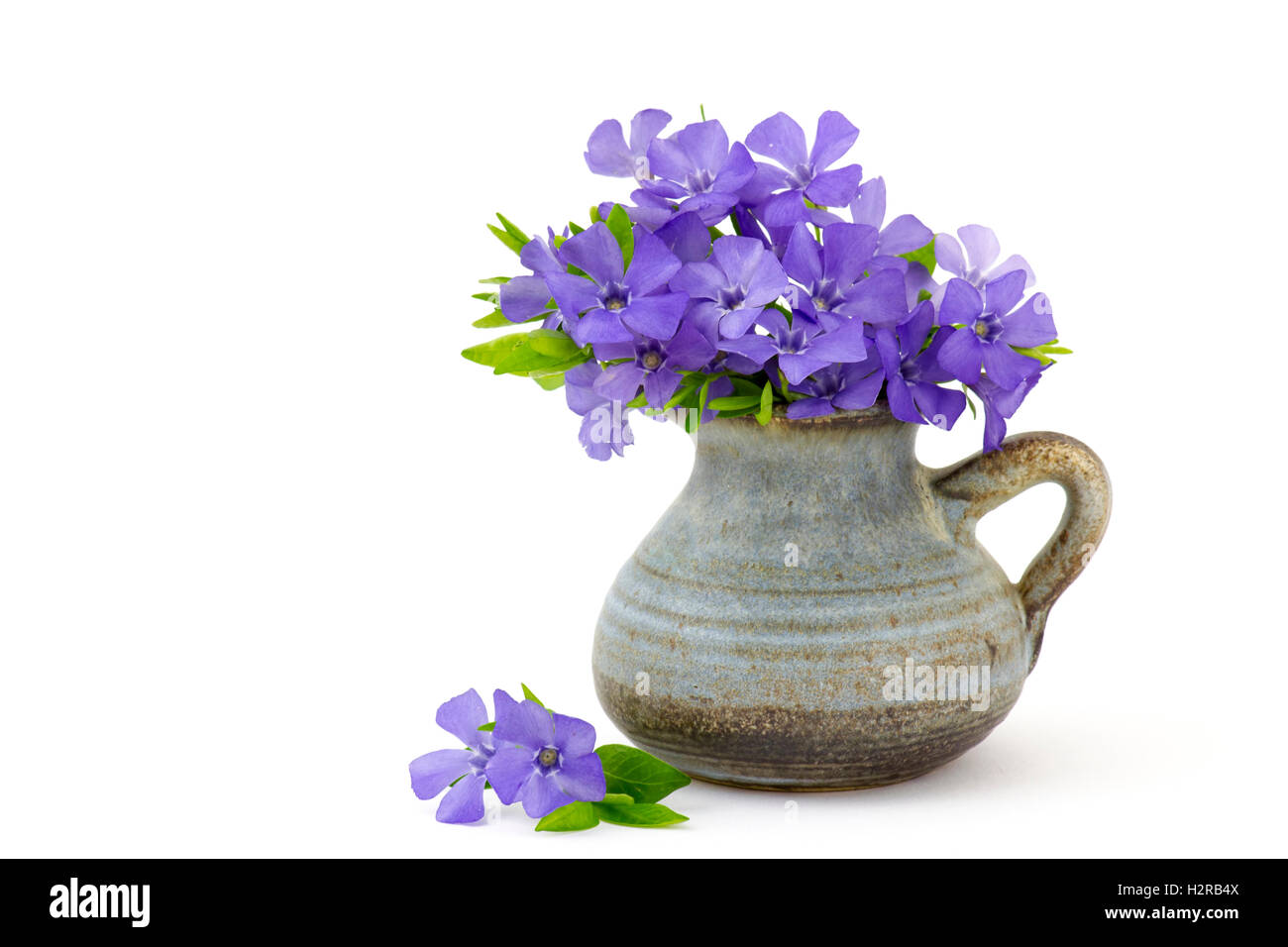 Beautiful spring flowers in a vase on white background Stock Photo - Alamy