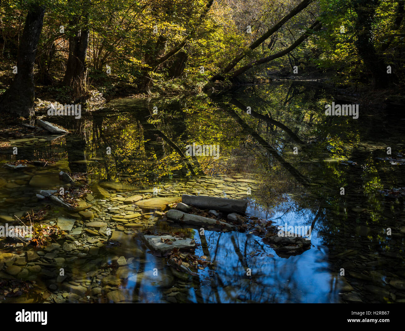 Woodland vistas hi-res stock photography and images - Alamy