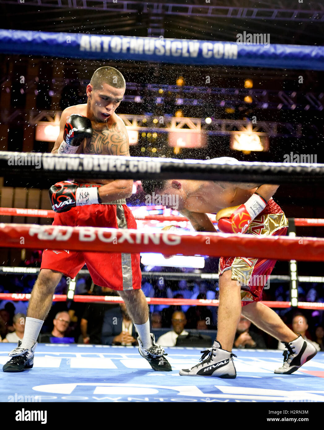 Las Vegas, Nevada September 30, 2016 -  Hanzel Martinez Battles Erik Ruiz in the Super Bantamweight Championship at “Knockout Night at the D”  presented by the D Las Vegas and DLVEC and promoted by Roy Jones Jr. Stock Photo