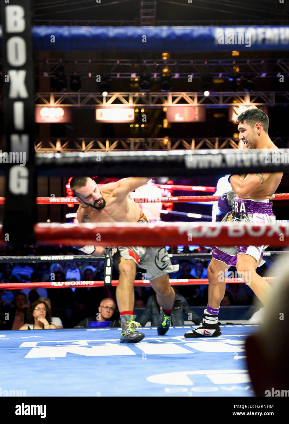 Las Vegas, Nevada September 30, 2016 -  John Vera lands the knockout punch to Milorad Zizic in the second round of the WBA-NABA Super Welterweight Championship at “Knockout Night at the D”  presented by the D Las Vegas and DLVEC and promoted by Roy Jones Jr. Stock Photo