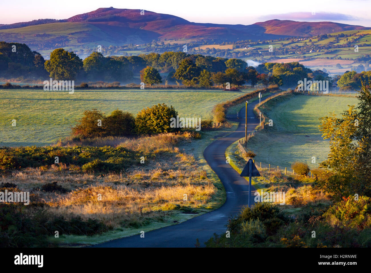 Moel y crio hires stock photography and images Alamy