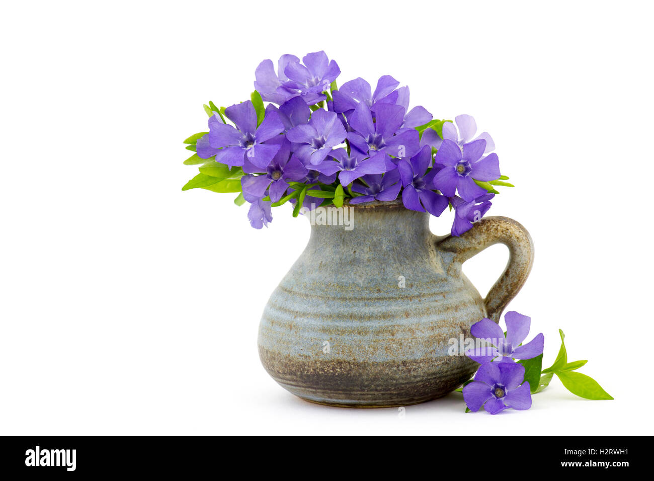 Beautiful spring flowers in a vase on white background Stock Photo - Alamy
