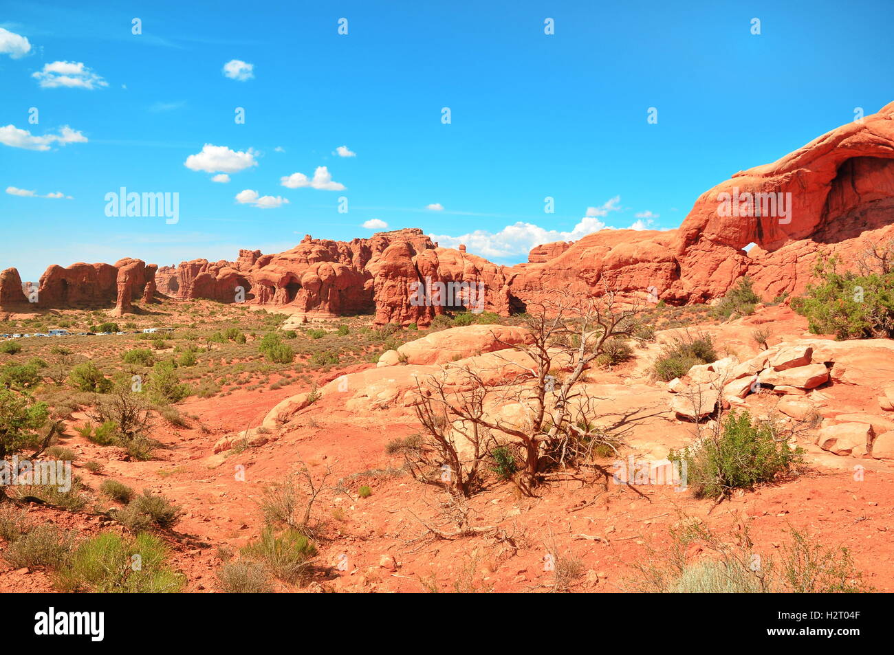 Rocks in Arches National Park, Utah, USA Stock Photo