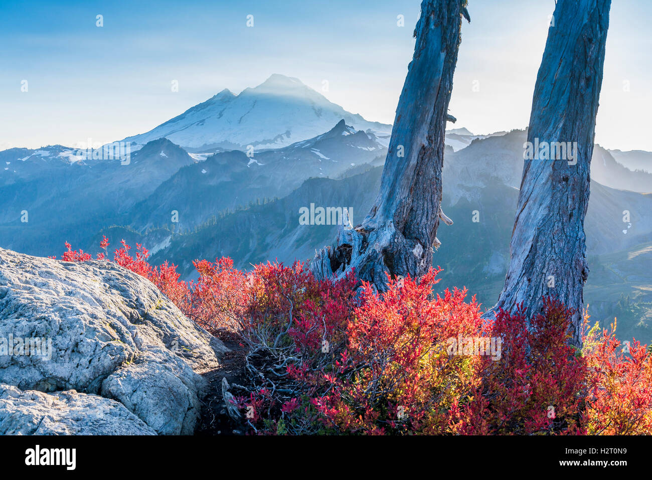 Fall colour.  Mt. Baker-Snoqualmie National Forest, Washington State, USA Stock Photo