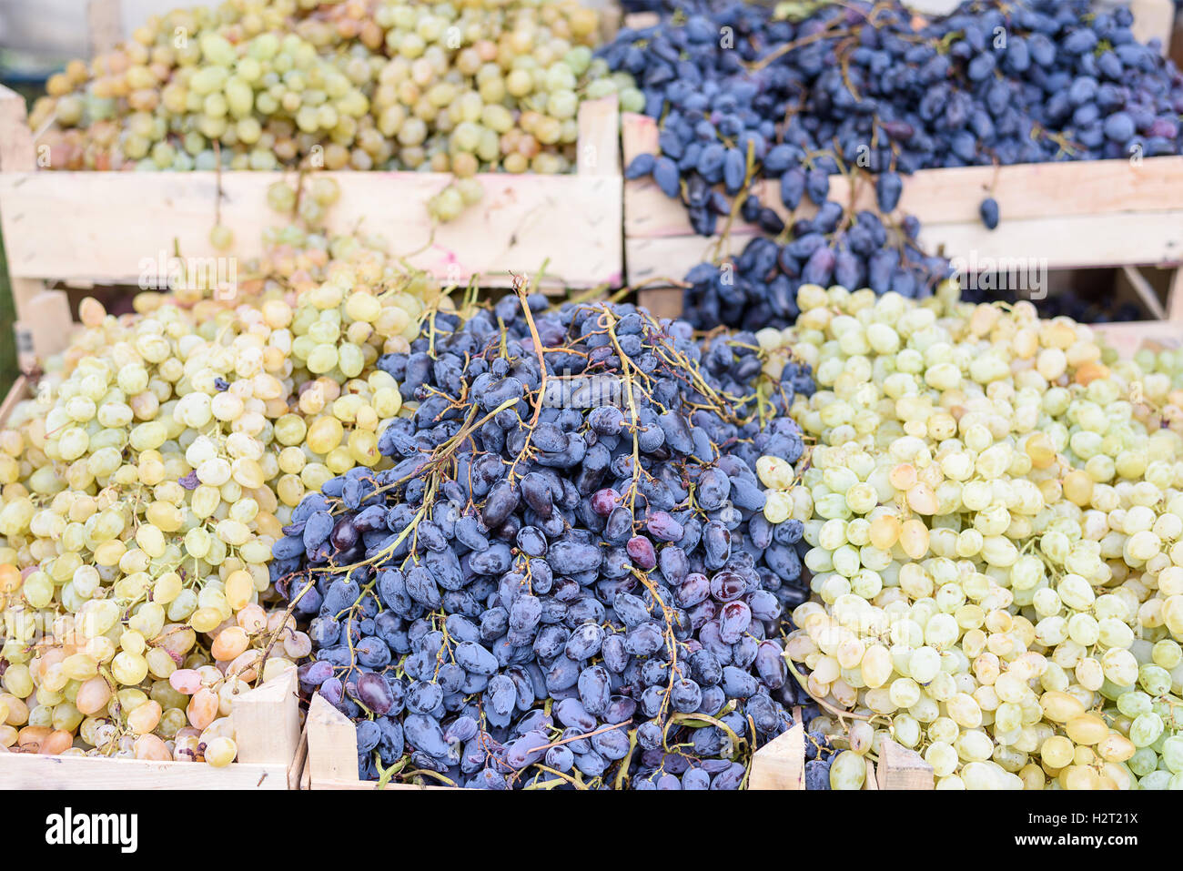 Grapes box harvest hi-res stock photography and images - Alamy