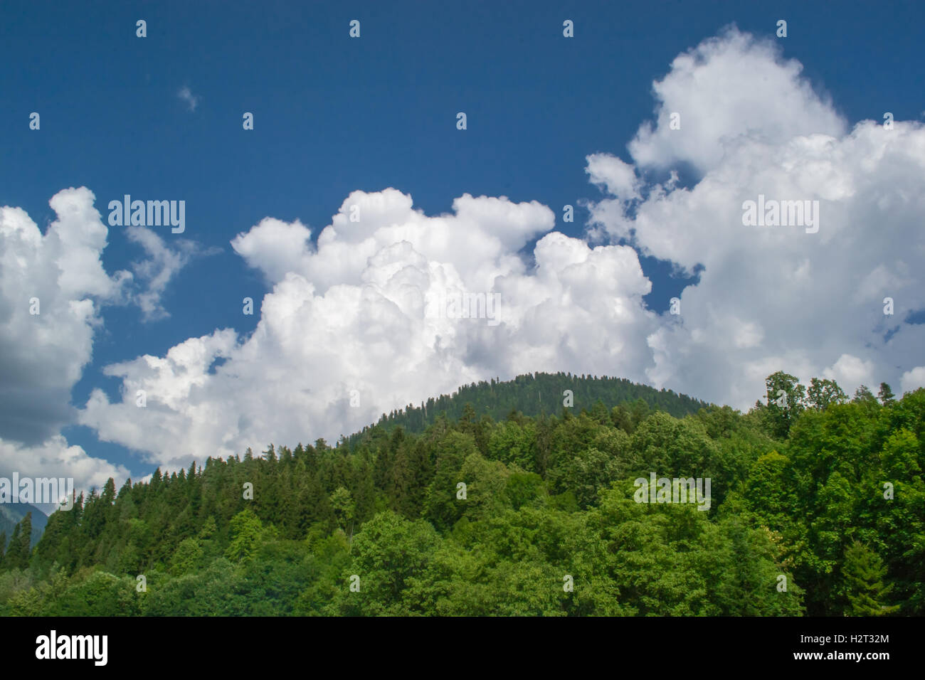 mountain forest landscape mountains summer nature sky view green clouds ...