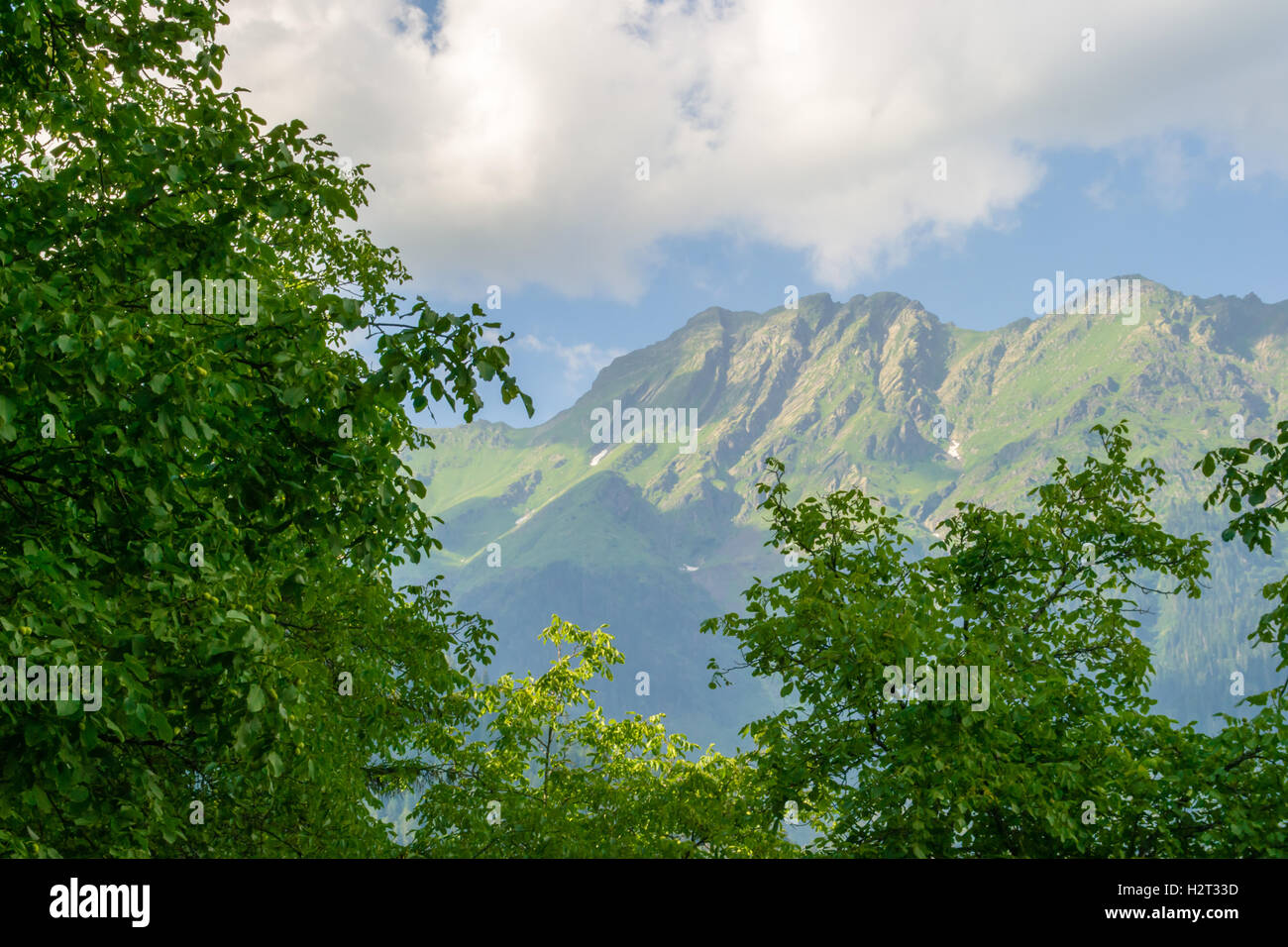 mountain forest landscape mountains summer nature sky view green clouds ...