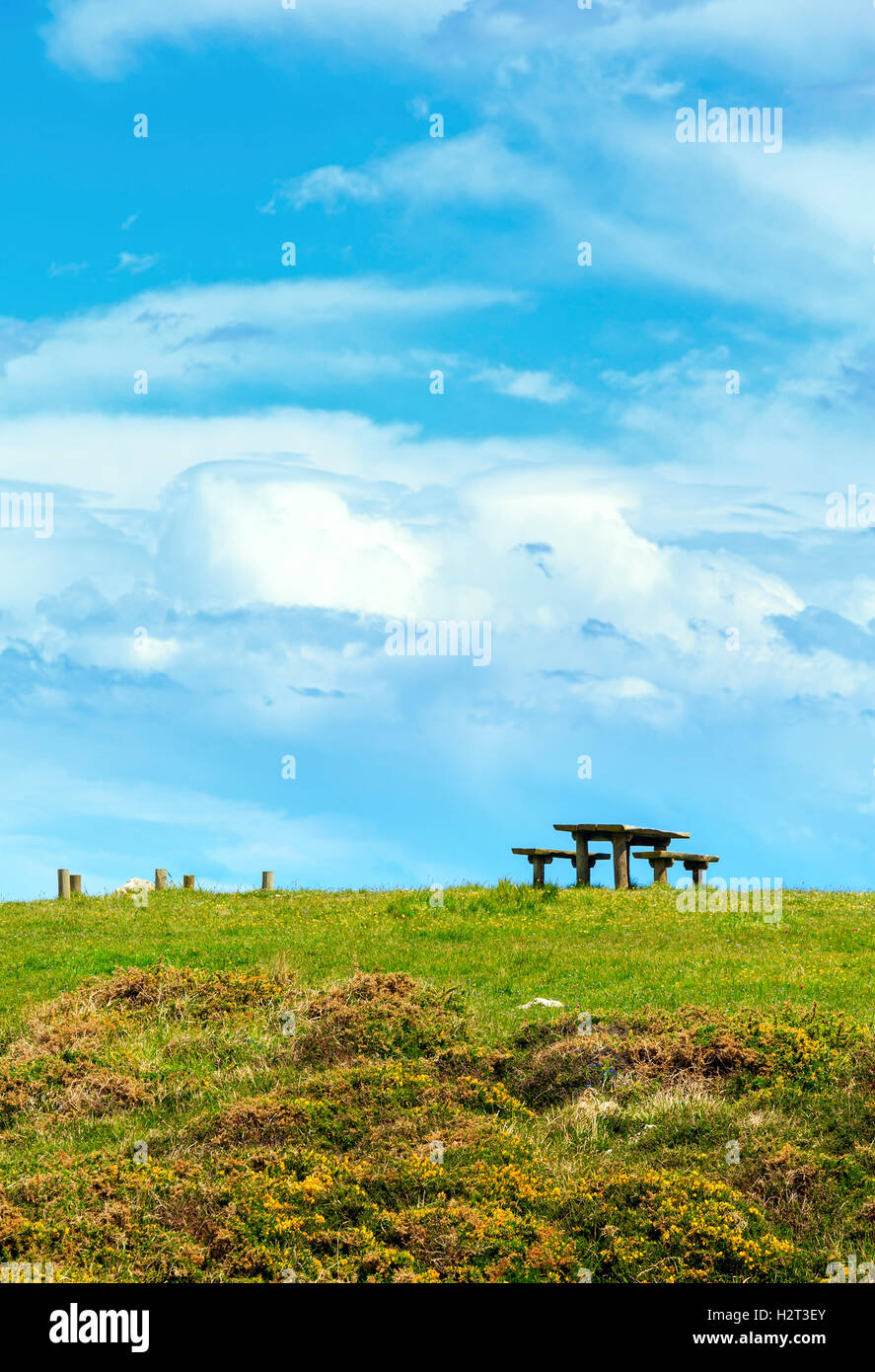 Place of rest (table with benches) on summer blossoming hill and blue sky with clouds. Stock Photo