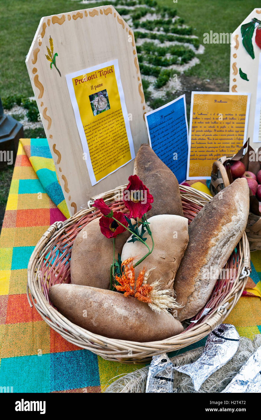 Assortment of typical Italian bread in a basket, Italy, Europe Stock