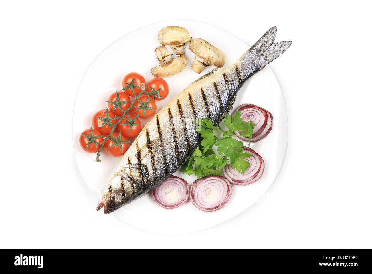 Grilled seabass on plate with mushrooms. Stock Photo